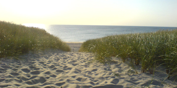 Sylt